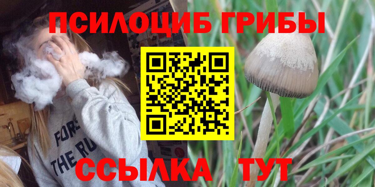 Псилоцибиновые грибы Psilocybe  купить  сайты  Фролово  Вход с VPN  Галлюциногенные грибы Magic Shrooms 